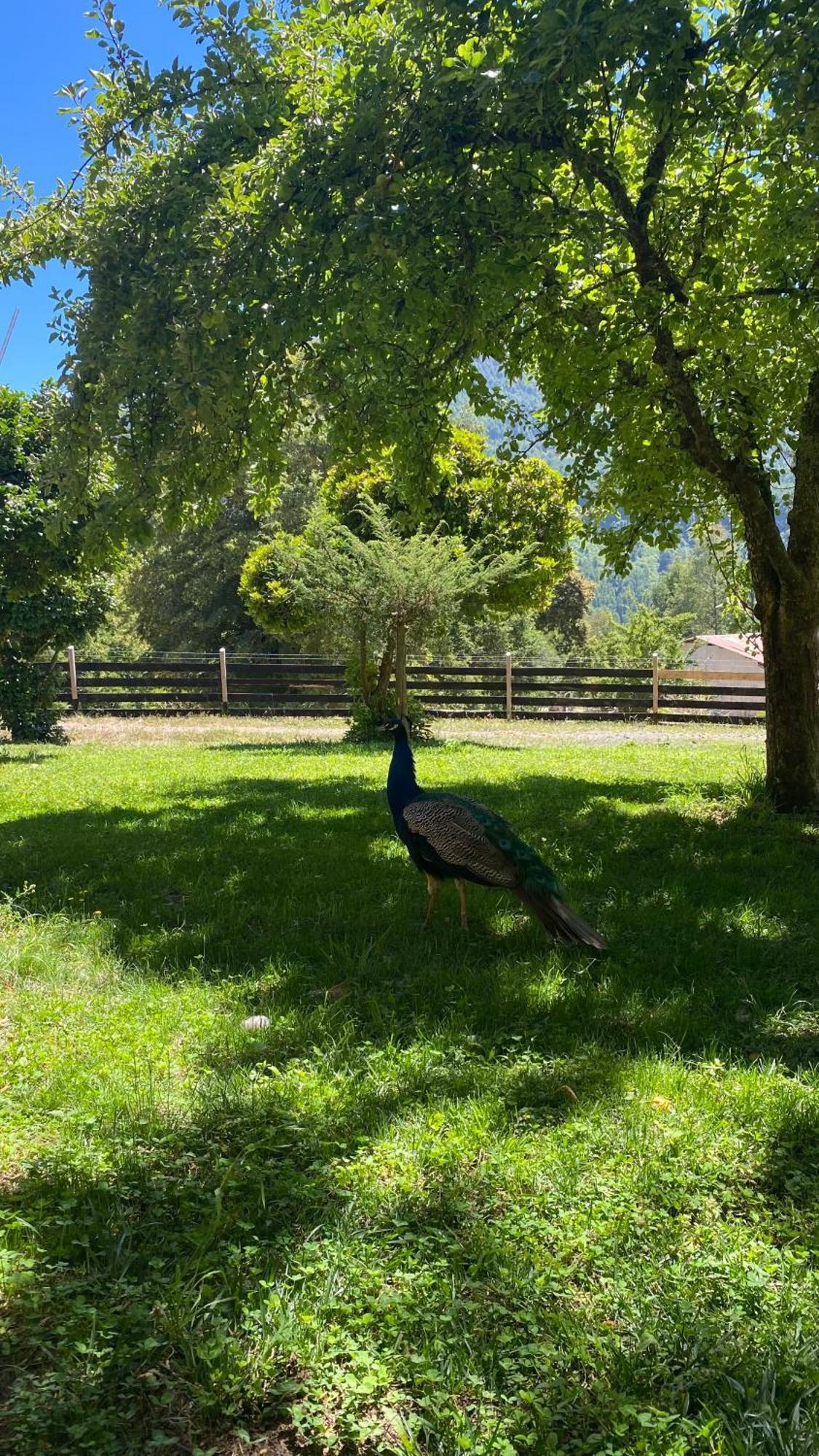 Chalé Rustica - Sector Pichares