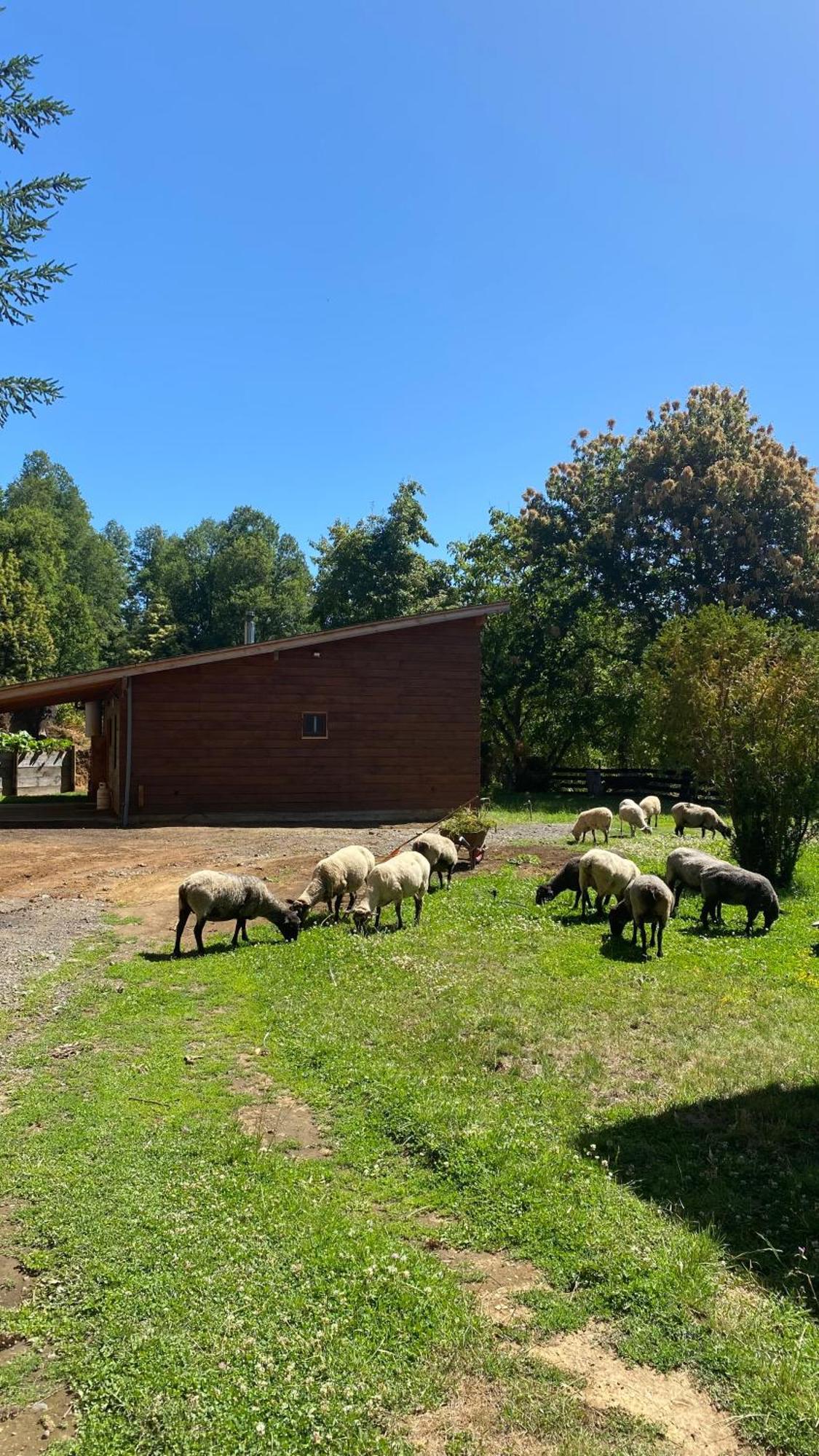 Chalé Rustica - Sector Pichares Pichare
